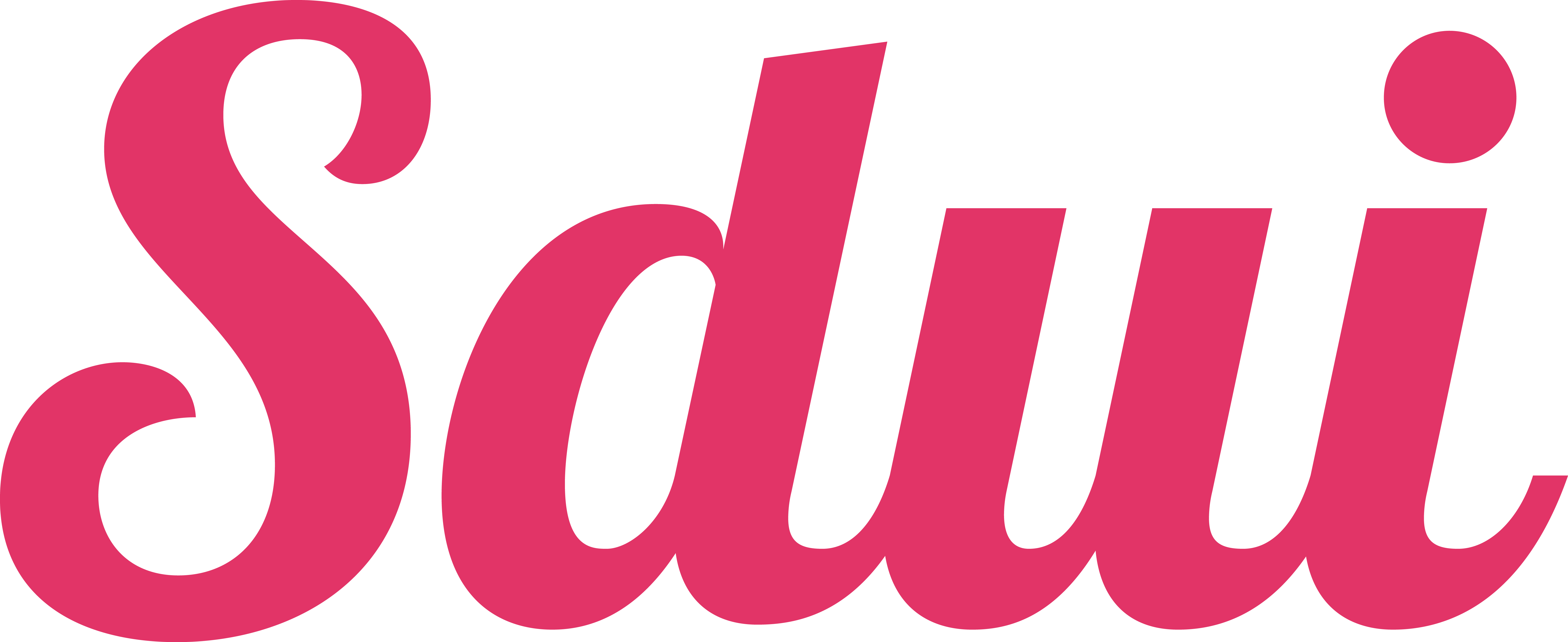 Logo der Sdui App